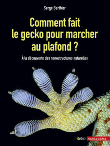 Comment fait le gecko pour marcher au plafond ? (S. Berthier, Belin, 2016)